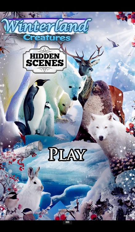 Hidden Scenes - Winter Creatures screenshot-4