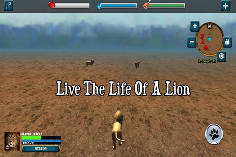 My Lion Simulator screenshot 3