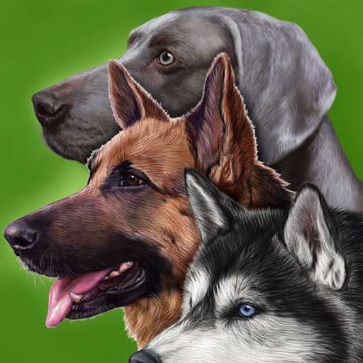 Dogs - Identification Guide