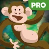 Save monkey life pro