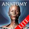 DS ANATOMY HEAD & NECK MUSCULOSKELETAL SYSTEM Lite