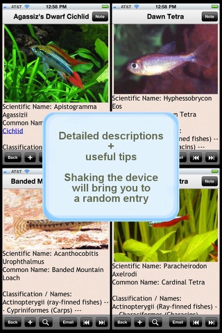 Encyclopedia of Tropical Fish screenshot 2