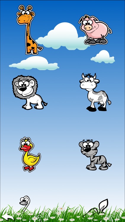 Animal Zoom Quiz