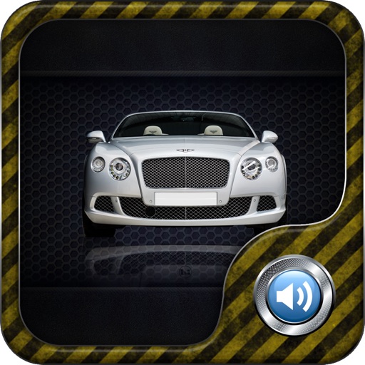 Car Simulator: The Car Sounds iOS App