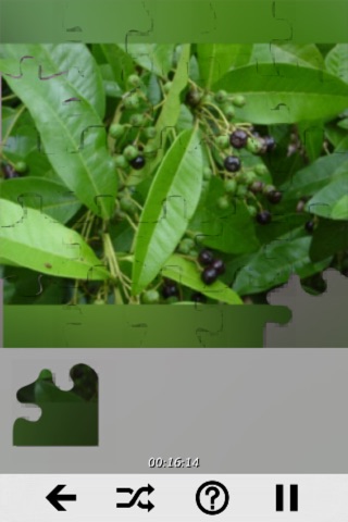 Fruits - Best Puzzles screenshot 3