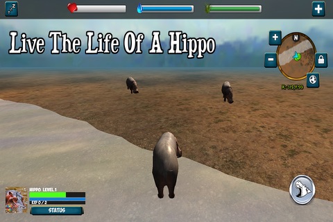 My Hippo Simulator screenshot 3