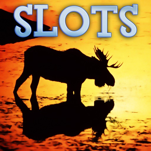 Alaska Animals Slots - FREE Slot Game Video Casino icon