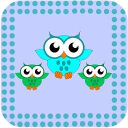 Paint the Little Owls