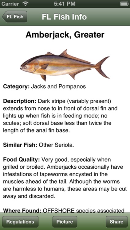 NJ Saltwater Fishing Companion