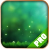 Game Pro - Ori and the Blind Forest Version