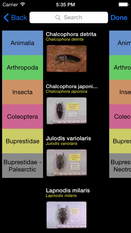 Beetles of the World - Coleoptera - A Beetle App