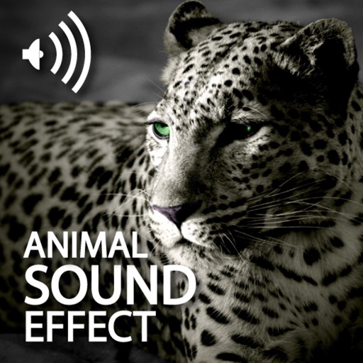Animal Sound World icon