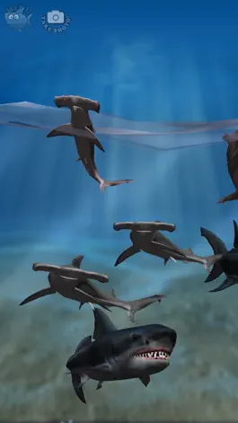 Game screenshot Shark Fingers! 3D Interactive Aquarium hack