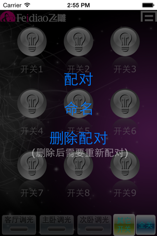 飞雕灯控 screenshot 3