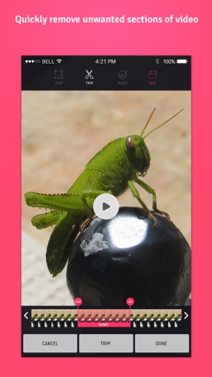 Combine Video Pro - Blend Multiple Movie Clips Together into(圖3)-速報App