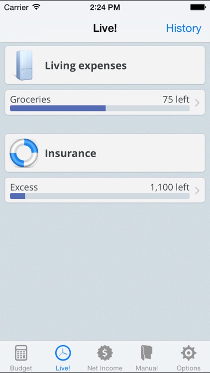NetIncome - Create and manage your monthly budget