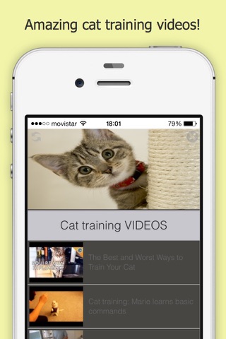 How You Can Train your Cat Pro screenshot 4