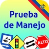 Prueba de Manejo