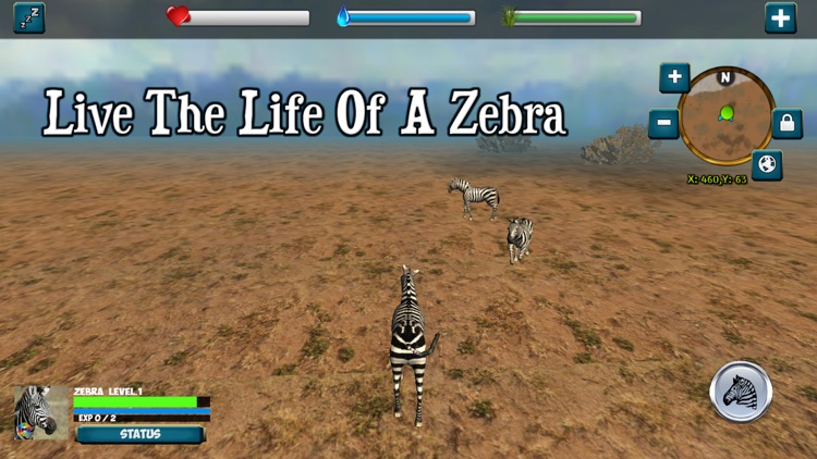 Zebra Simulator