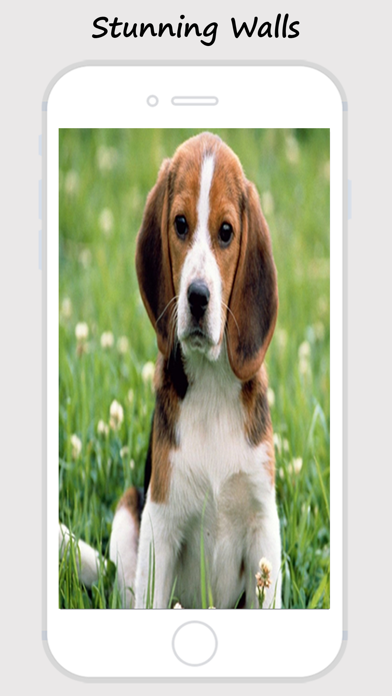 How to cancel & delete Cute Dogs and Puppy Wallpapers from iphone & ipad 4