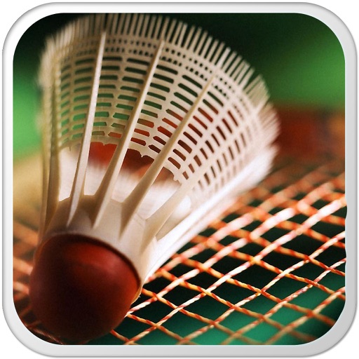 Badminton Challenge - Smash the bird Icon