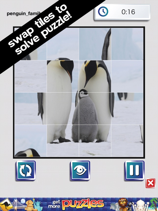 Puzzled penguin mac os 11