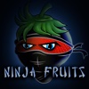 Revenge of the Ninja Fruits