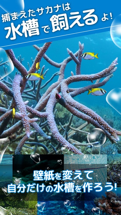 サカナタッチ - 魚をあつめて水族館のような水槽をつくろうのスクリーンショット2 サカナタッチ - 魚をあつめて水族館のような水槽をつくろうのスクリーンショット2