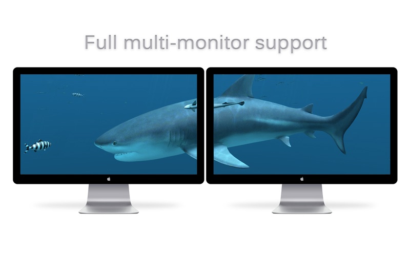 Sharks_3D.app caprure 5 5_Sharks_3D.jpg