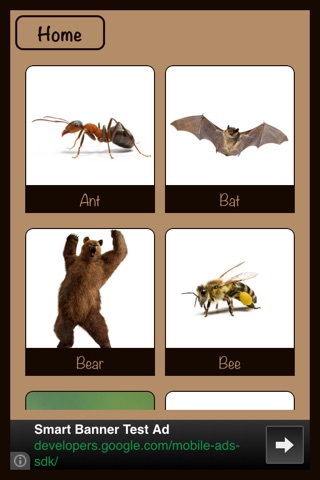 Animals | English screenshot 3