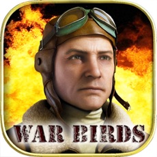 Activities of War Birds: WW2 Aircraft 1942