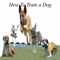 How To Train a Dog is the ultimate video guide for you to learn how to give training to dog