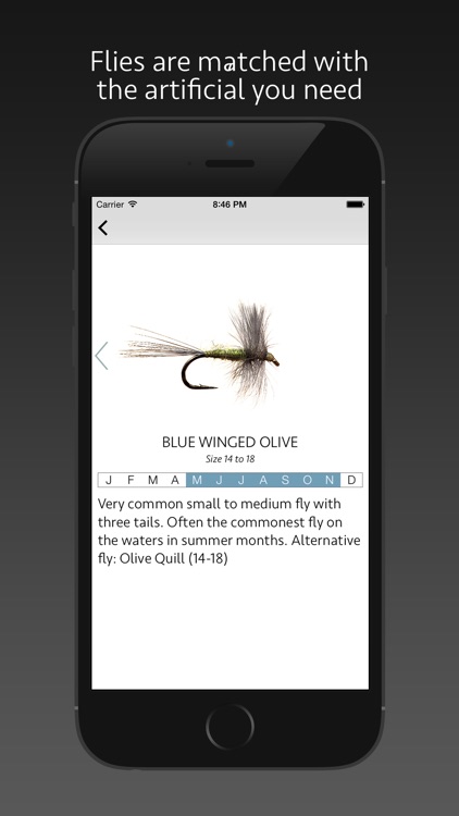 Match A Hatch Eastern U.S. screenshot-3