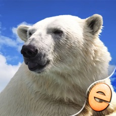 Activities of Jigsaw Wonder Polar Bear Puzzles for Kids Free