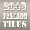 2048 Falling Tiles Puzzle - New Edition with a Twist