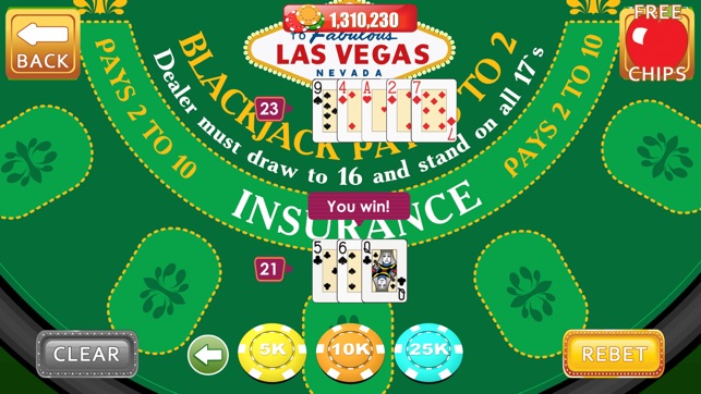 Blackjack School - Learn How To Play Black Jack Like a Profe(圖2)-速報App