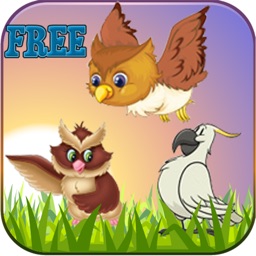 Graden Birds FREE