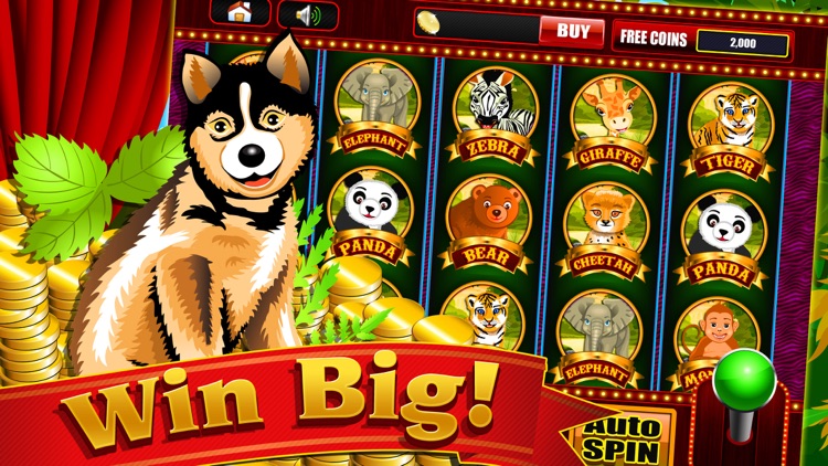 The Adventure of Safari King of the Jungle Zoo Classic Vegas Way FREE