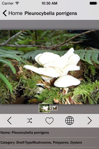 Mushrooms Collection Guide screenshot 4