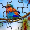 Birds JigSaw Puzzle Game for Kids Free