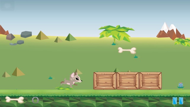 Alfie the Chihuahua Free(圖3)-速報App