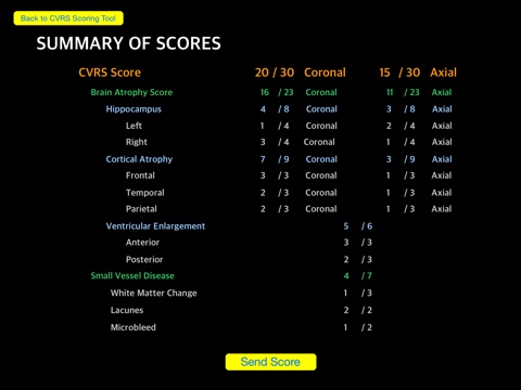 CVRS Score screenshot 4