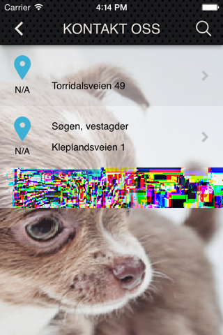 kristiansanddyreklinikk screenshot 3