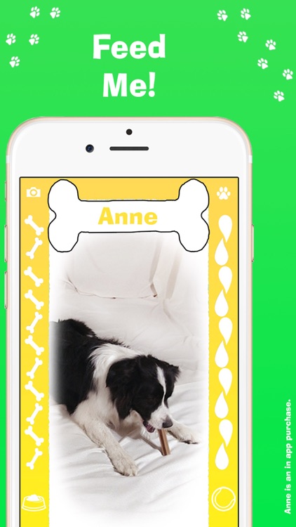 Pocket K-9: Sheep Dog (a virtual petcare game for girls and boys)