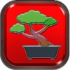 Bonsai Slots Machine - FREE Las Vegas Casino Premium Edition