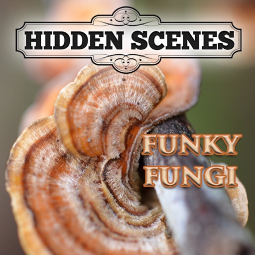 Hidden Scenes - Funky Fungi iOS App
