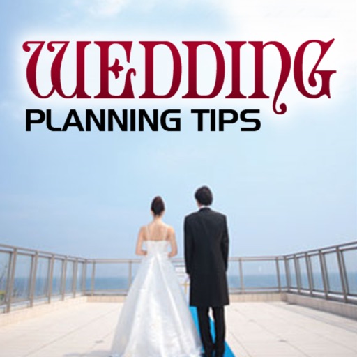 Wedding Planning Tips Icon