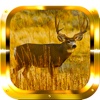 Deer Hunting Adventure Gold