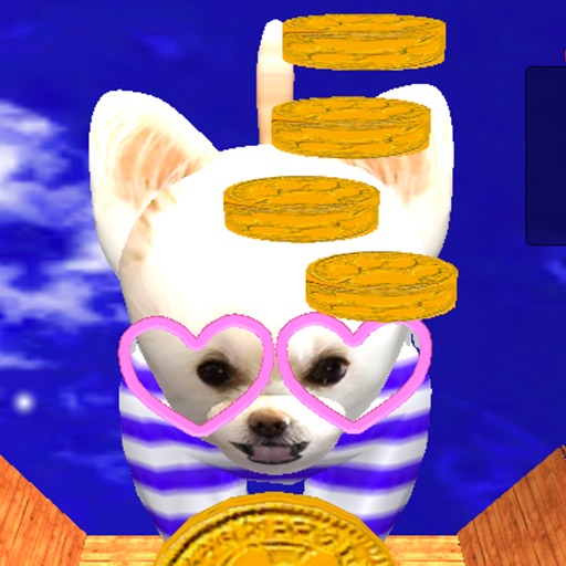 Coin Dog Icon