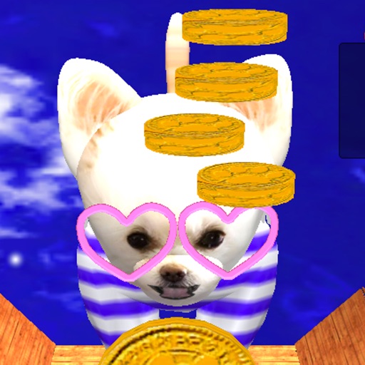 Coin Dog